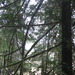 Square
