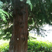 Square