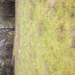 Square