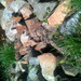 Square