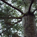 Square