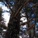 Square