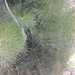Square