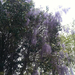 Square