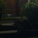 Square