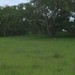 Square