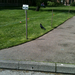 Square