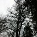 Square
