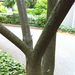 Square