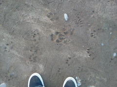 Small