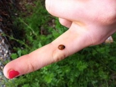 Small