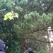 Square