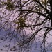Square