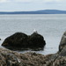 Square