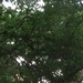Square