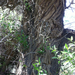 Square