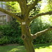 Square