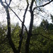 Square