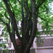 Square