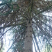 Square