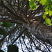 Square