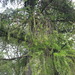 Square