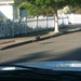 Square