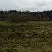 Square