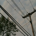 Square