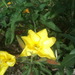 Square