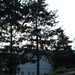 Square