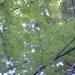 Square