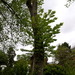 Square