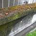 Square
