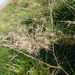 Square