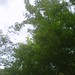 Square