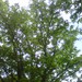 Square