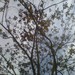 Square