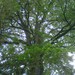 Square