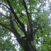 Square