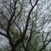 Square