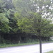 Square