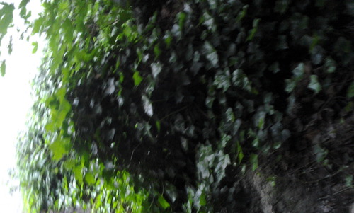 Medium