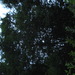 Square