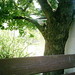 Square