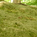 Square
