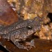 Square