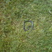 Square