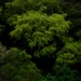 Square