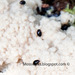 Square